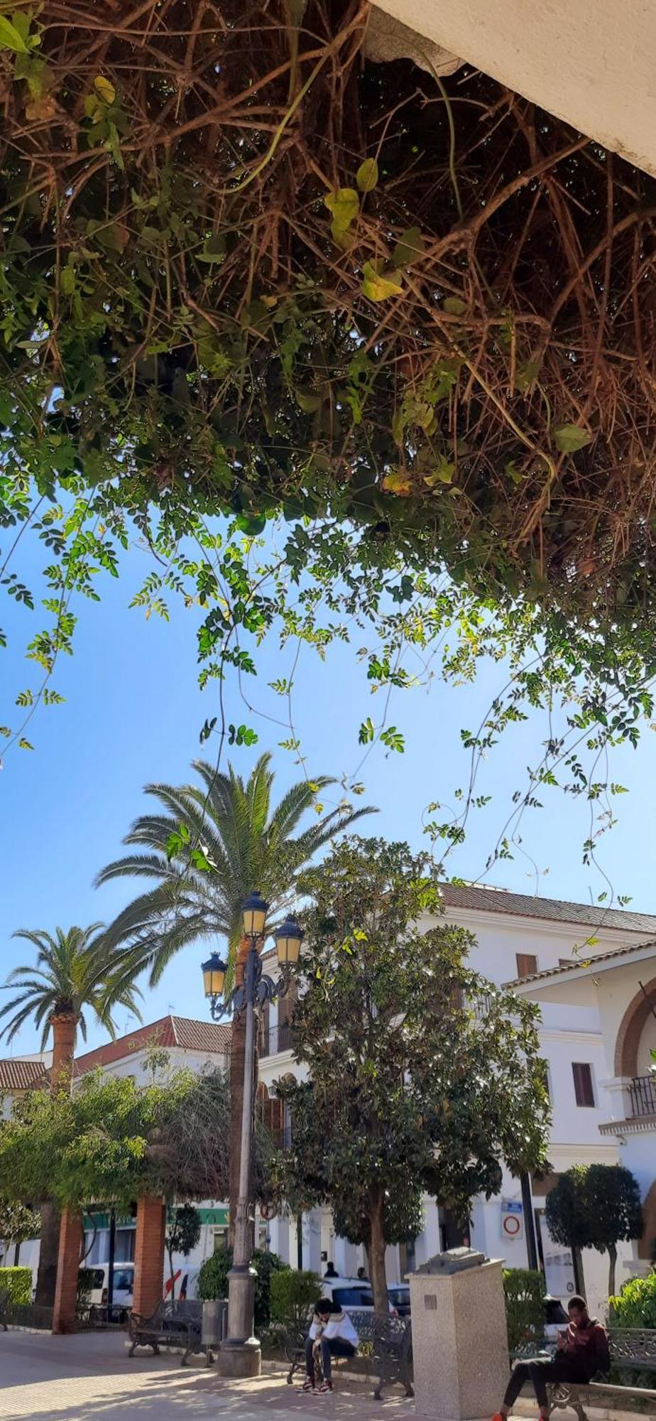 Casa Lea Villa Islantilla Buitenkant foto